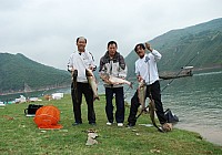 《自制垂钓鲢鱼玉米粉混合饵料》