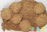 《水库钓鱼必杀饵-爆炸饵》
