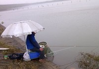 《夏季钓鲫鱼选位技巧》