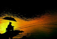 《夏季钓鱼要随机而变》封面图