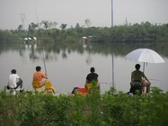 《夏秋季节垂钓莫嫌气温高》