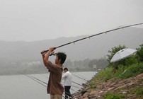 《夏季在有水草水域钓鱼的两种钓法》