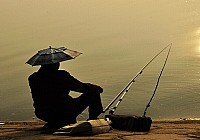 《夏季钓鱼七技巧钓点和和时机选择》