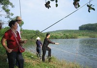 《春季钓鲫鱼钓点选择线组搭配及钓法等技巧》