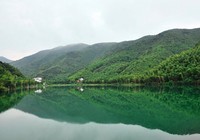 《秋季垂钓小水库野生鲫鱼技巧》封面图