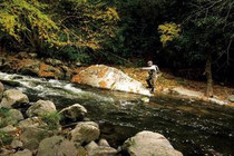 《溪流中钓鲫鱼如何选钓点》