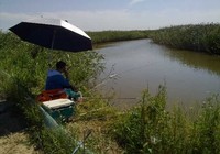 《钓草鱼咬钩的浮漂标相特征》