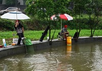 《混养鱼塘夏季钓草鱼技巧》