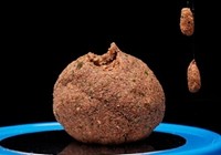 《秋季垂钓鲢鳙鱼技巧(饵料、钓法等)》封面图