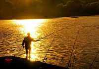 《秋季钓鱼掌握四＂情＂保渔获》
