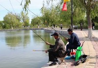 《金秋季节根据水温选择钓点》