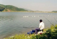 《秋季钓鱼遇风如何选时选点》