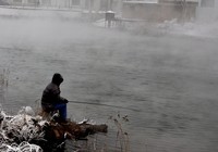 冬季钓鱼时应该按照鱼的习性来打窝子