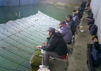 《冬钓大棚根据鱼情合理调整浮漂的技巧》封面图