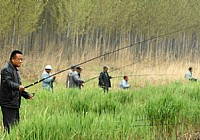 《野钓实用两步调漂法》