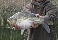 《钓浅水及水面有大风浪水底有潜流使用何种浮漂》