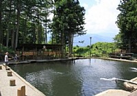 《新手垂钓黑坑收费鱼池要掌握的四个技巧》