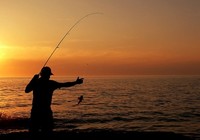 《水库矶竿钓鱼时的鱼口分辨和钓组技巧》