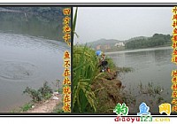 水库钓鱼技巧总结