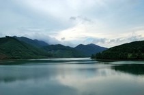 《专钓水库大鱼的糟食钓法》