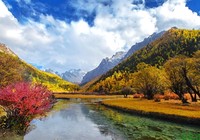 《金秋季节水库守钓鲤草青鱼技巧》封面图