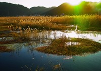 《《越野越钓》20151106 河北唐山古冶区野钓鲢鳙擒大鲤》