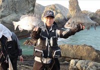 《《江湖行钓鱼视频》141 韩国济州岛海钓之旅(下)》