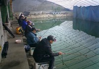 《《鱼资渔味》20151104 内蒙古包头大棚黑坑赛》