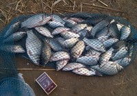 《鱼资渔味》20151225 大水库垂钓鲫鱼鲤鱼的打窝用饵技巧