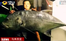 《《鱼资渔味》20150817 海钓王美里挑战86斤巨型GT》
