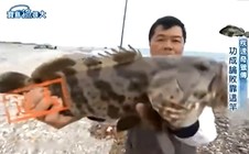 《《宝岛渔很大》 20150315 极速奇猎传》