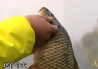 《《就这样钓鱼》第39集 天津冬季钓鲤鱼的技巧》