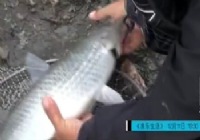 《《海洋战士》第27集 渔山冬季海钓路亚鲈鱼》封面图
