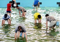 《《中国垂钓周刊》第21期 休闲捕鱼运动背后存生态隐患》
